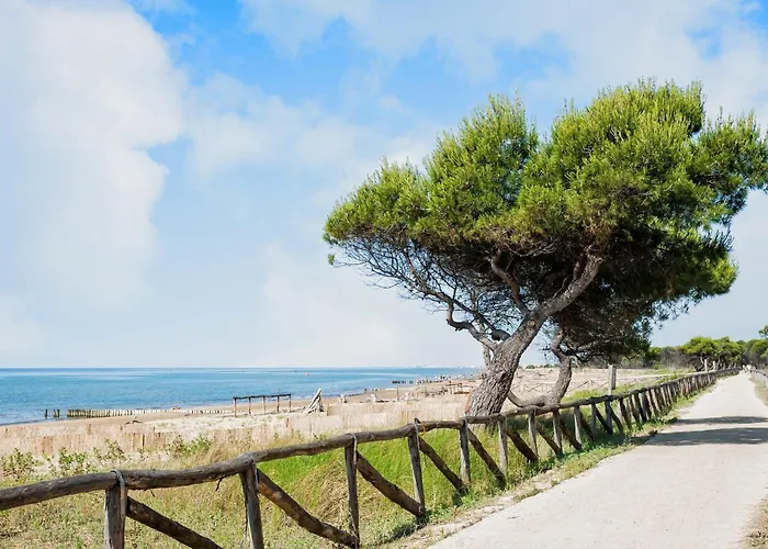 Great Flat 100mt From The Sea Bibione